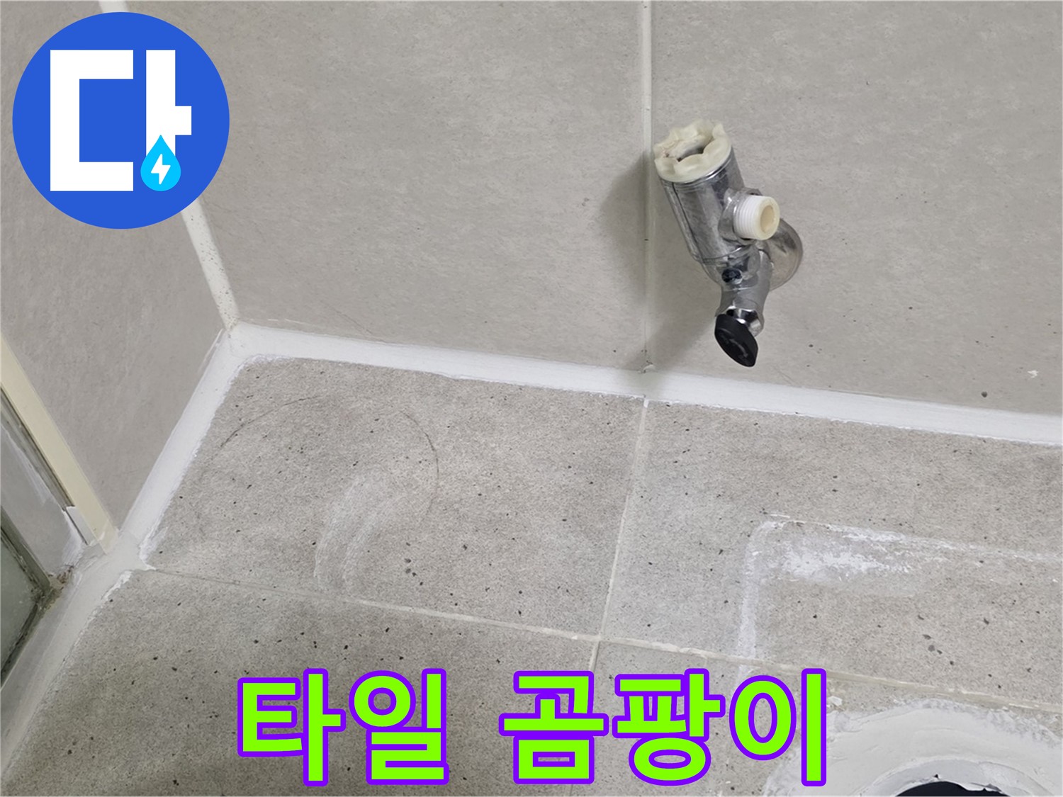 운중동 산운마을 샤워기 수전 누수 - 벽면 타일 틈새 곰팡이 발생!