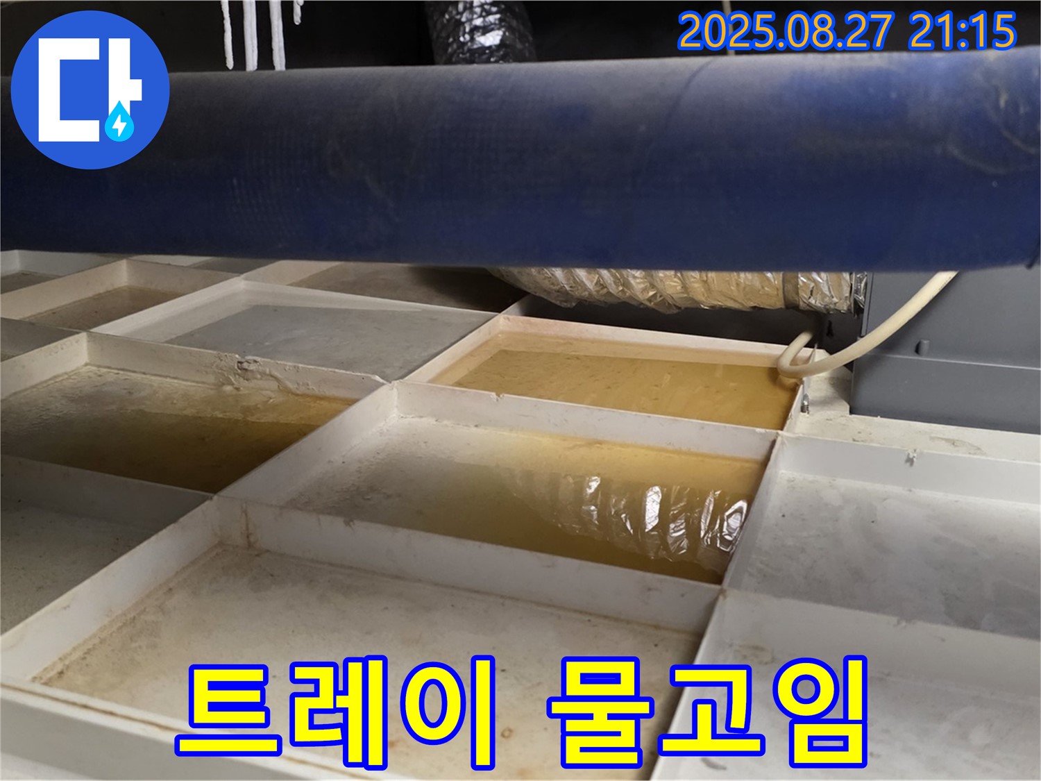 천장 트레이에 고인 물 - 누수 위치를 정확히 파악하여 문제 해결의 실마리를 찾습니다.