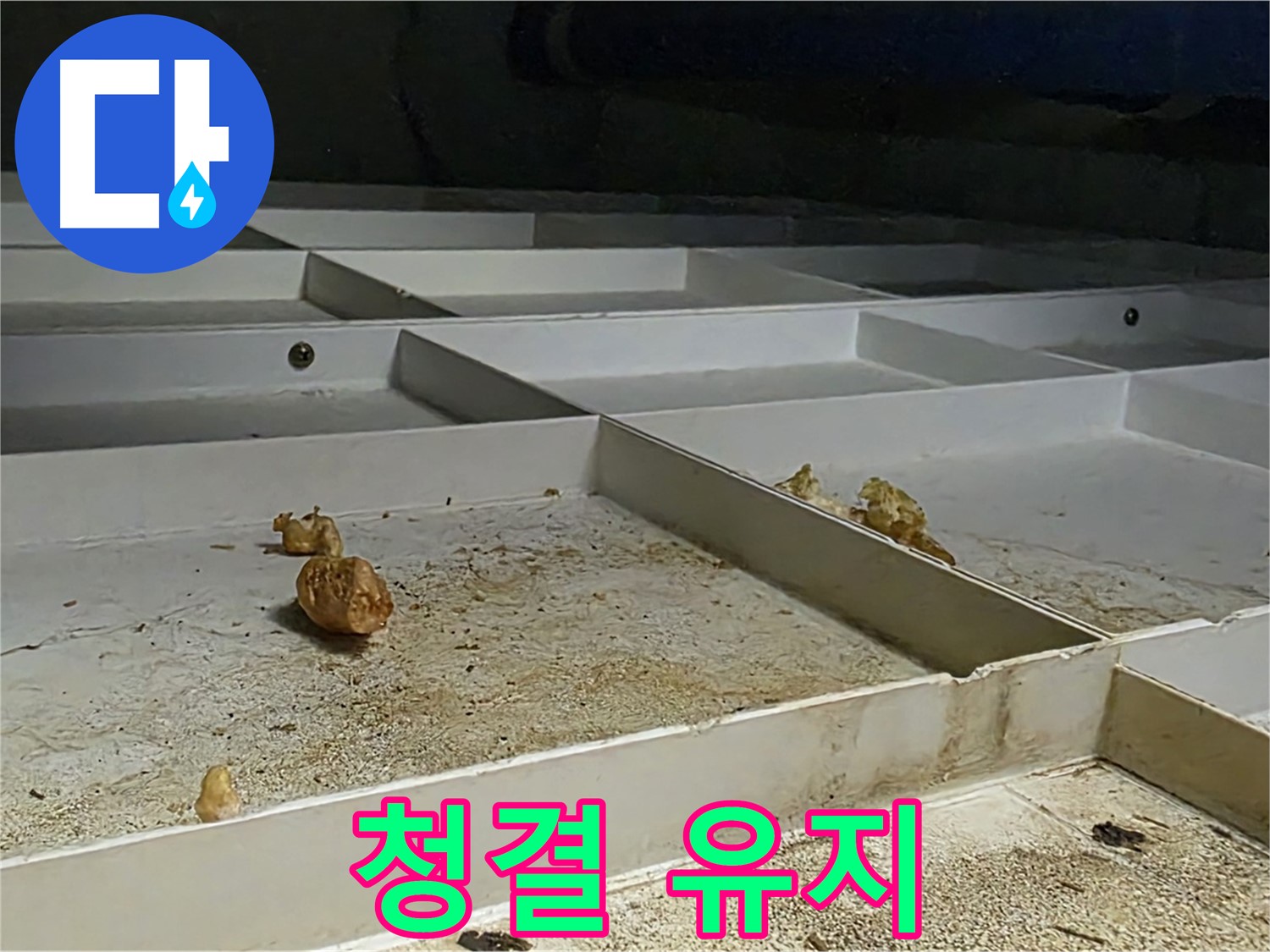 청결 유지 - 누수 해결 후 청결 유지 상태