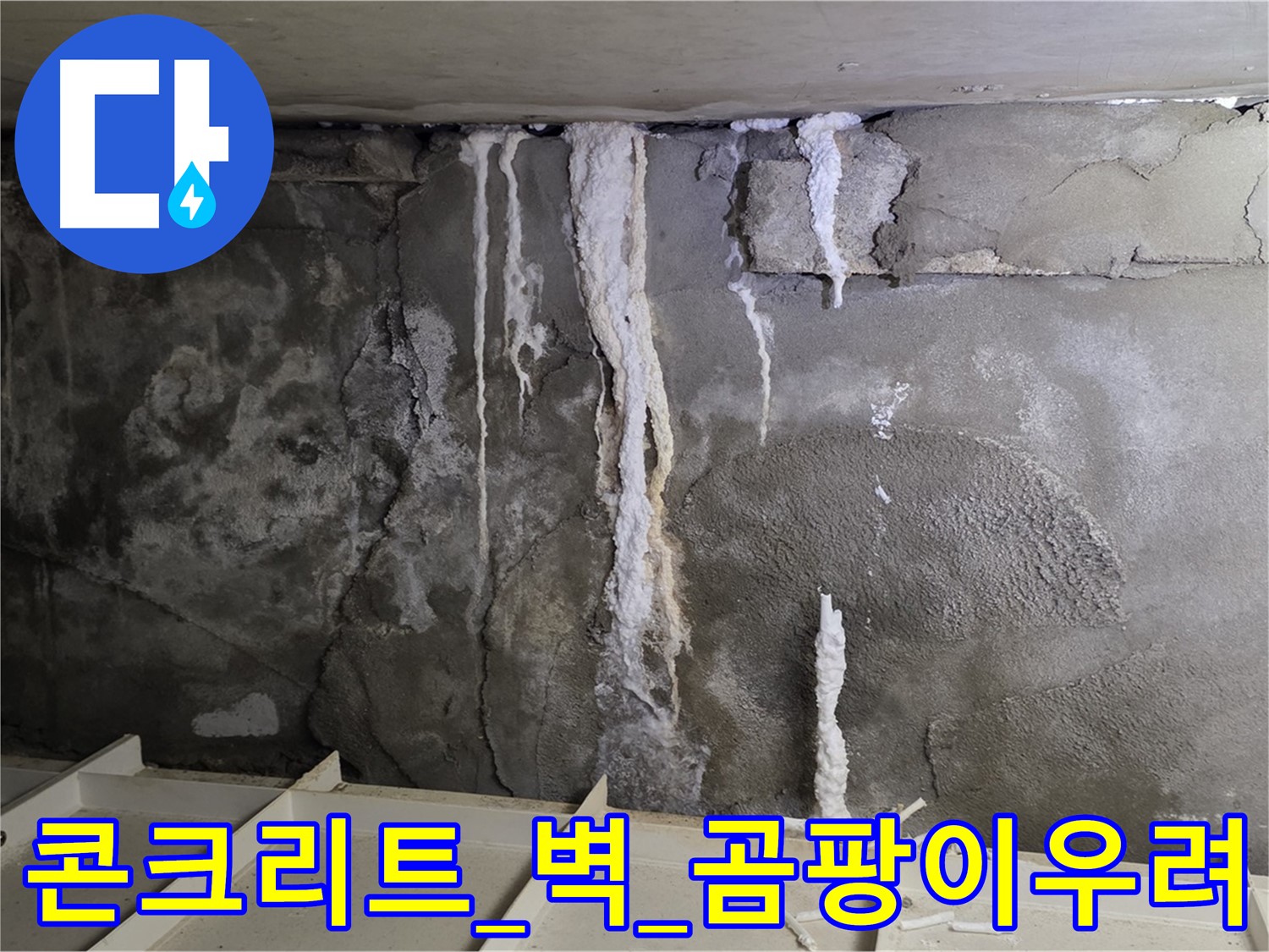 콘크리트 벽 - 석회수 범벅, 건물 눅눅, 곰팡이 번식 우려
