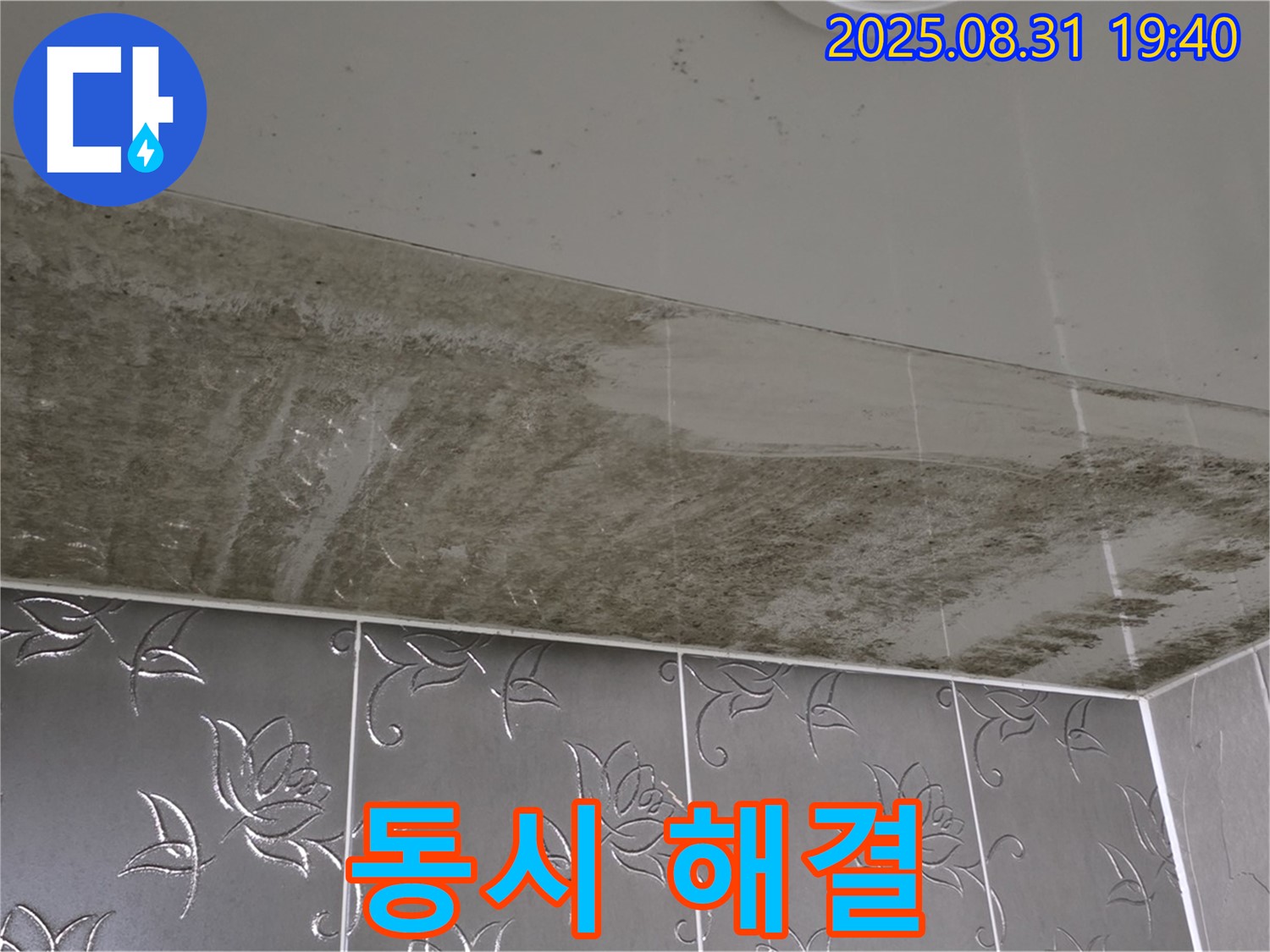 곰팡이 누수 동시 해결 - 원인 제거와 곰팡이 제거