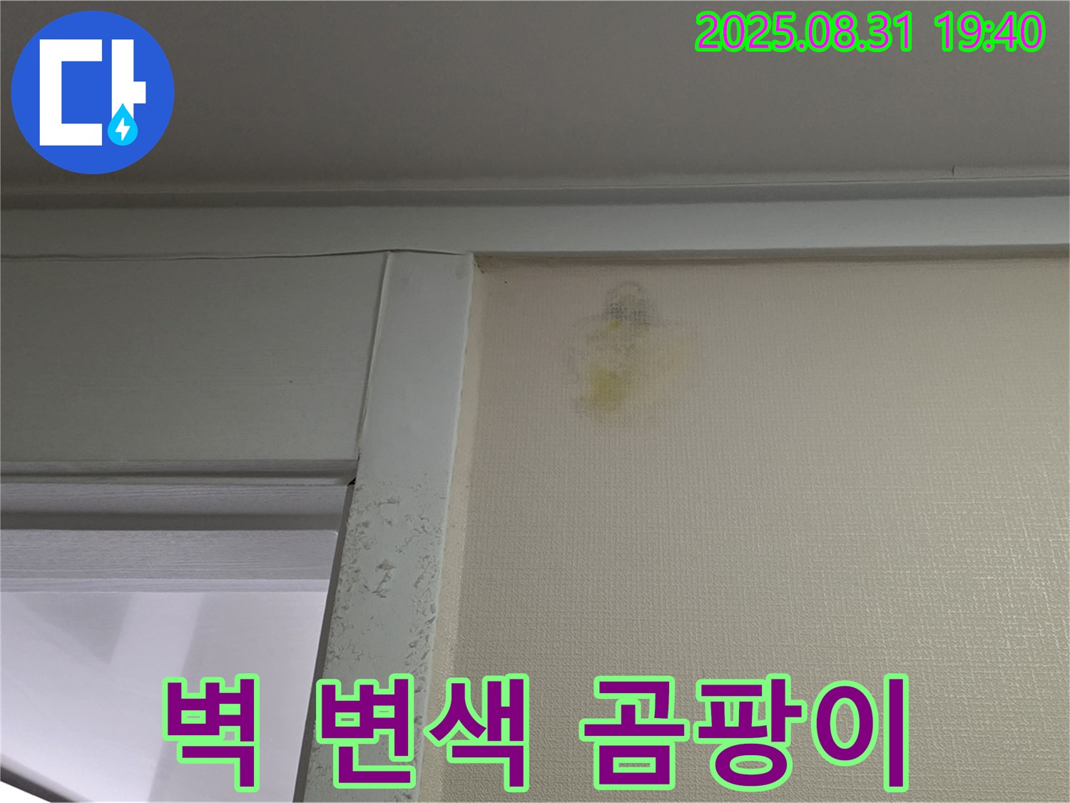 벽 변색 곰팡이 - 누수 의심 - 분당 산운로 누수