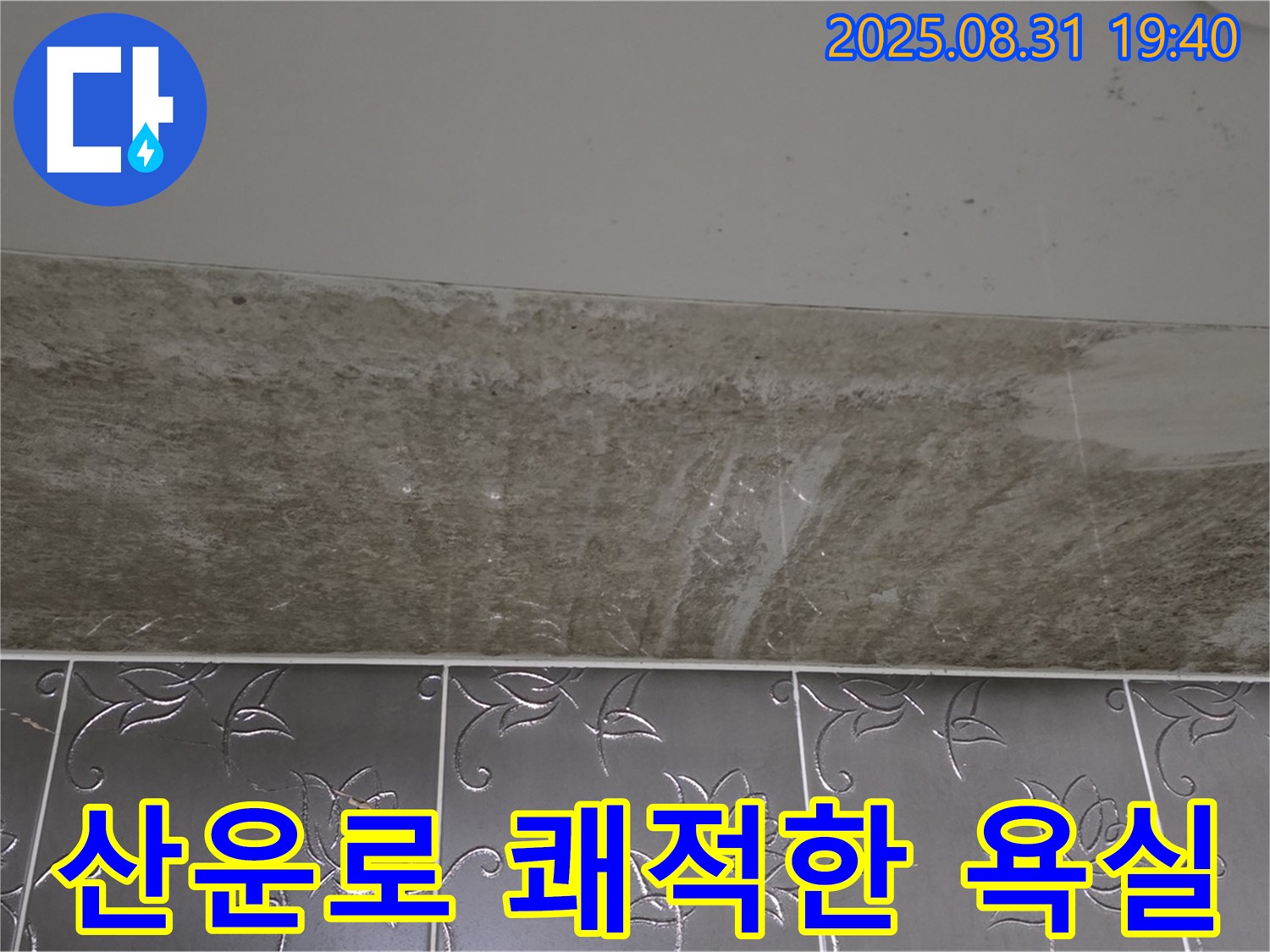 분당 산운로 121 욕실 곰팡이 - 쾌적한 욕실로 변신!