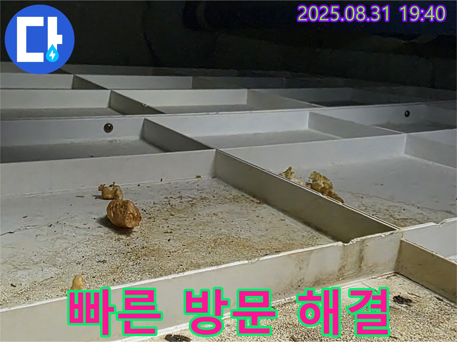 분당 산운로 누수 - 빠른 방문으로 누수 문제 즉시 해결