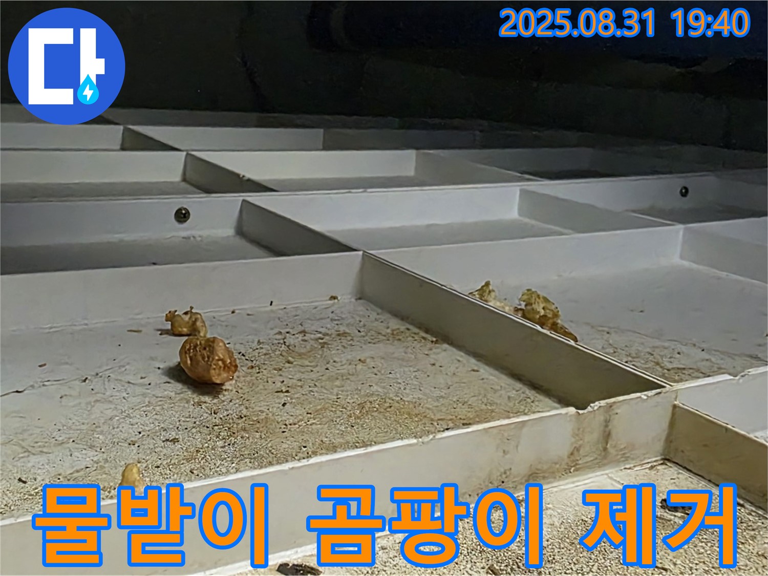 분당 산운로 누수 - 천장 SMC 물받이 곰팡이 완벽 제거 대작전
