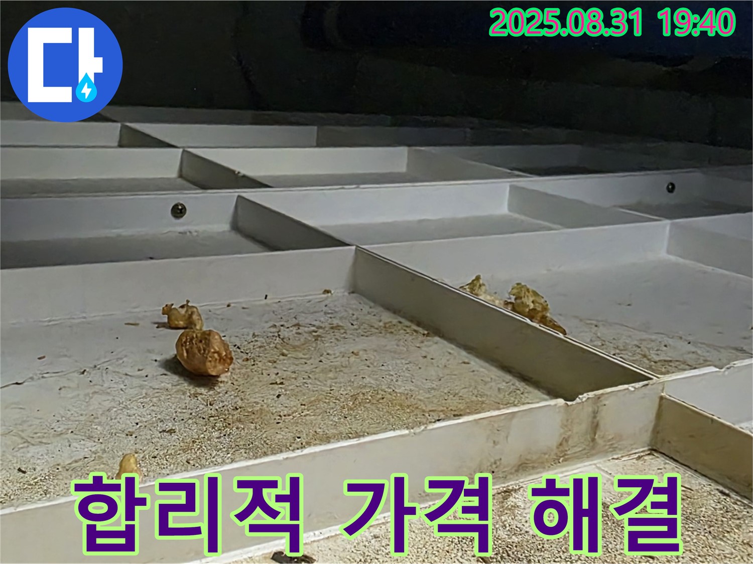 분당 산운로 누수 - 합리적인 가격으로 누수 문제 완벽 해결