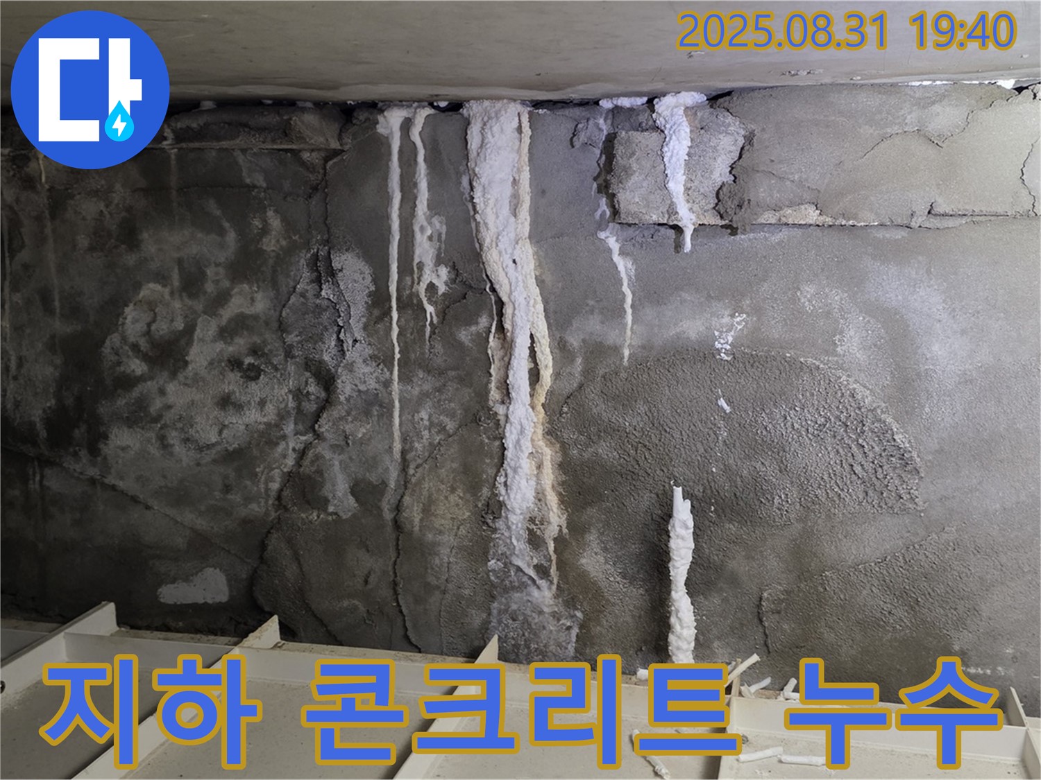 분당 산운로 주택 지하 콘크리트 누수 - 심각한 누수 흔적과 석회 용출, 건물 안전 위협