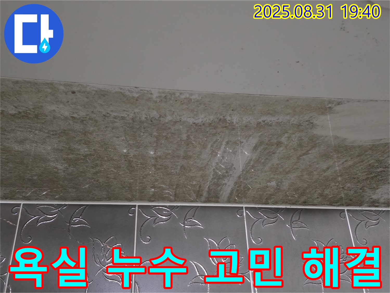 분당 욕실 누수 - 곰팡이 고민 해결 전문 업체입니다