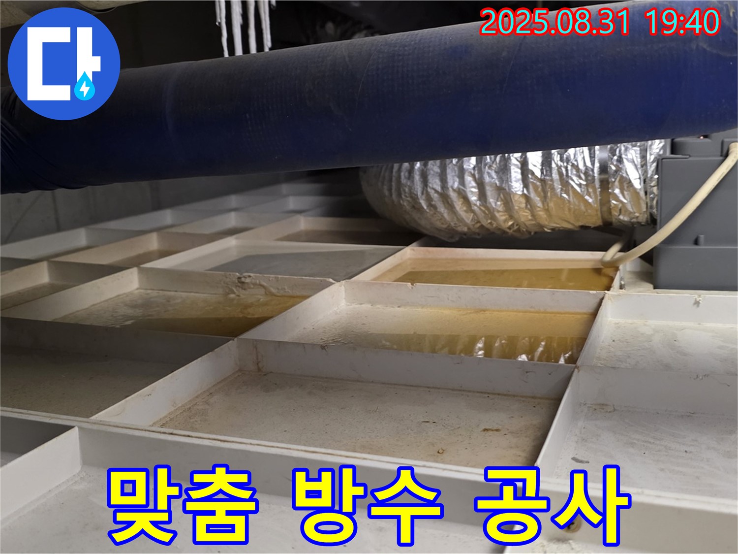 분당 정자동 건물 옥상 누수 - 꼼꼼한 진단 후 맞춤 방수 공사 진행