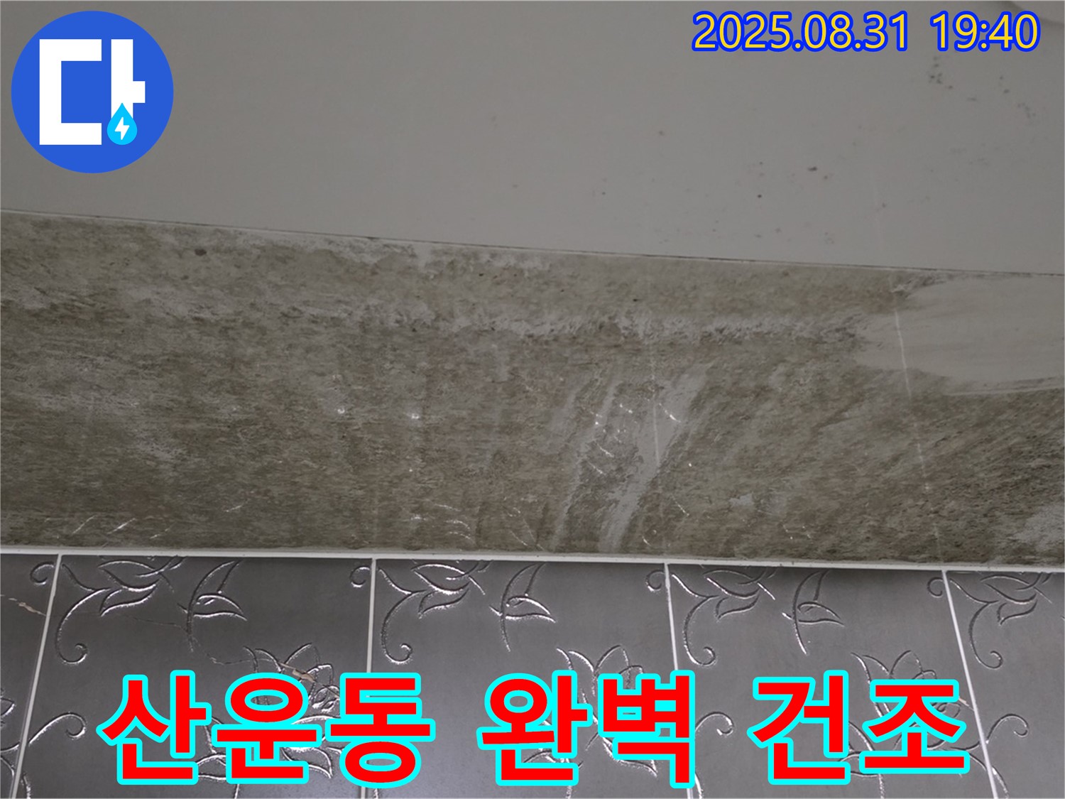 분당구 산운동 욕실 곰팡이 - 곰팡이 제거 후 완벽 건조 습기 제거