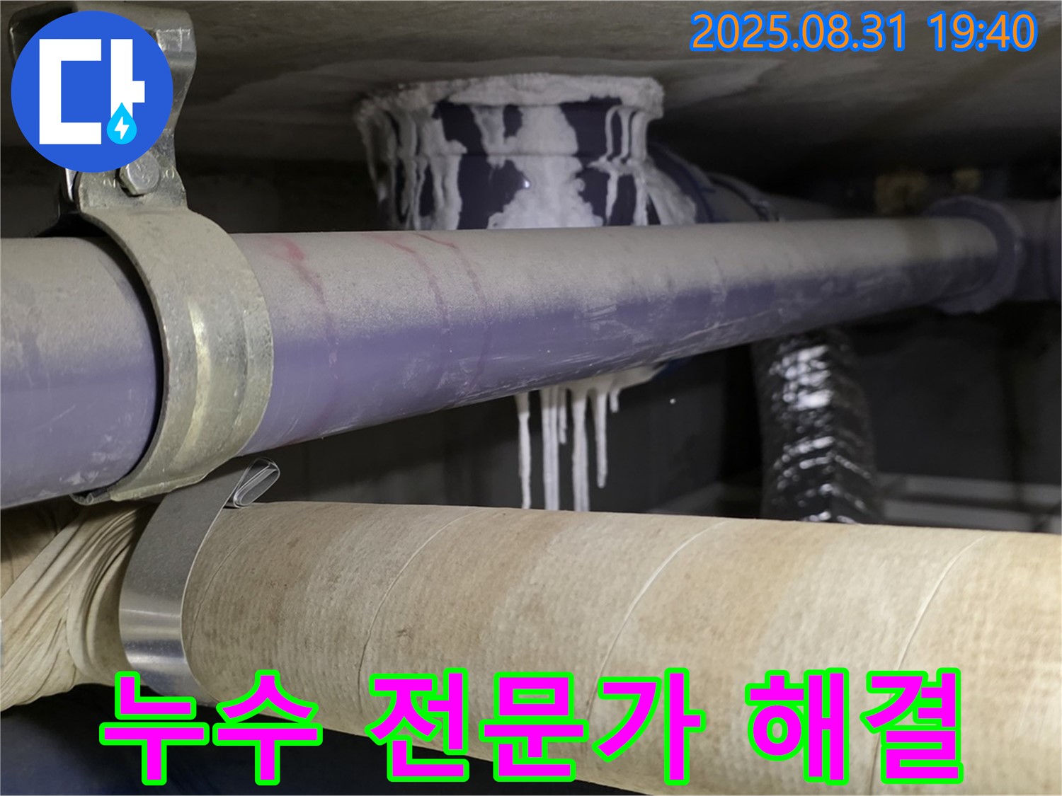 숙련된 누수 탐지 전문가가 누수 문제를 해결하는 모습 - 믿을 수 있는 실력과 경험.