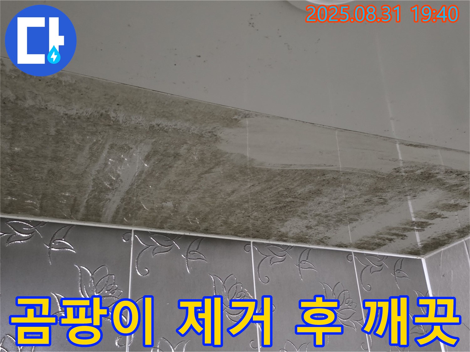 정자동 욕실 천장 - 곰팡이 제거 후 깨끗해진 모습