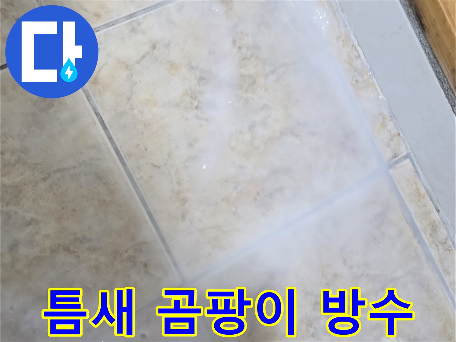 타일 틈새 곰팡이 - 제거 후 완벽 방수로 - 누수 걱정 끝