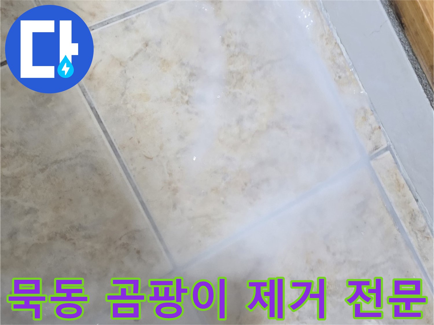 타일 틈새 곰팡이 - 제거 전문 업체에서 - 확실하게 해결하세요!
