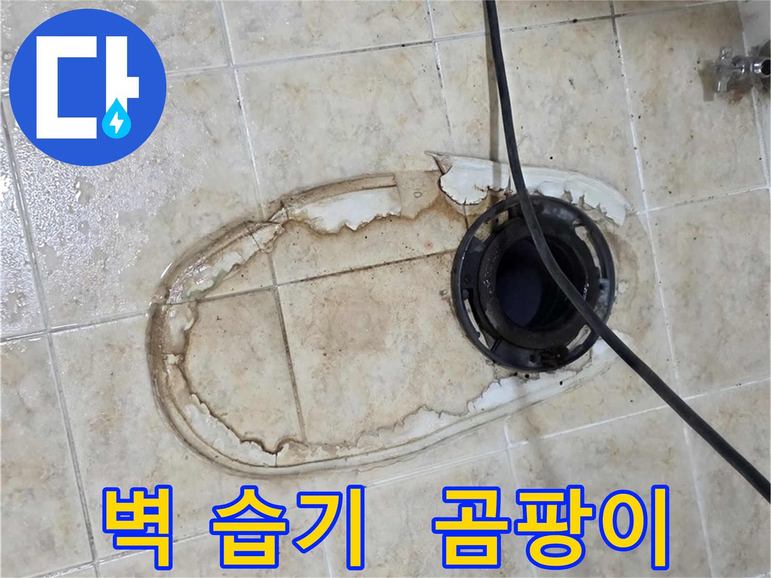 변기 누수 - 벽 습기 - 곰팡이 포자 제거