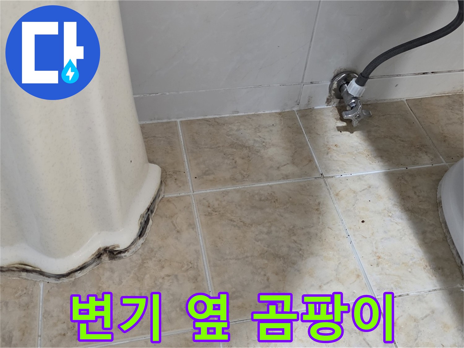 변기 옆 곰팡이 - 방치 금지 - 냄새까지 유발