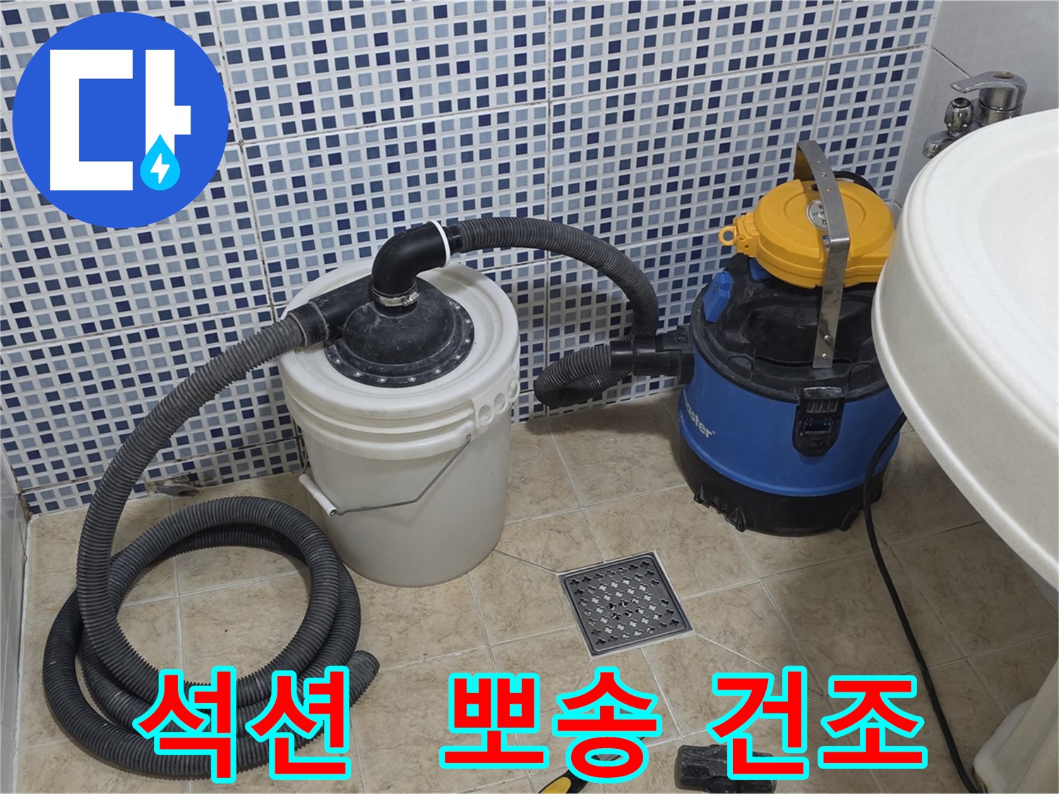 석션 후 건조 - 곰팡이 OUT!