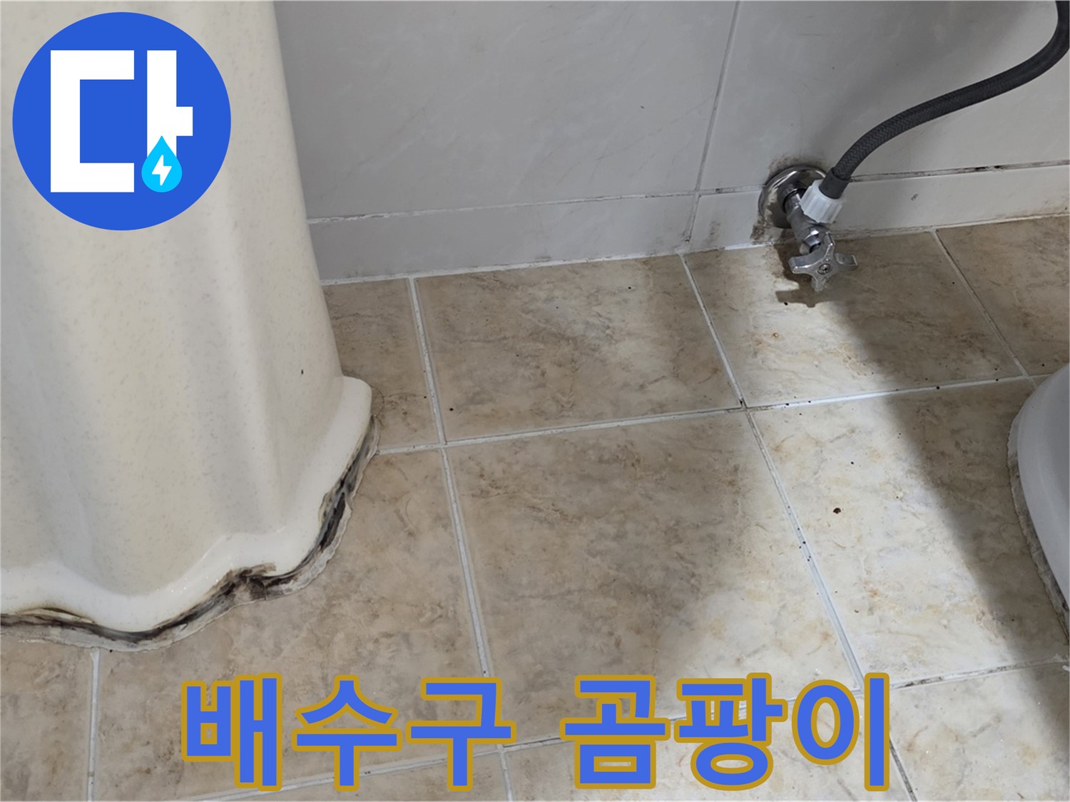 세면대 배수구 곰팡이 - 악취 원인 - 곰팡이 제거 필요