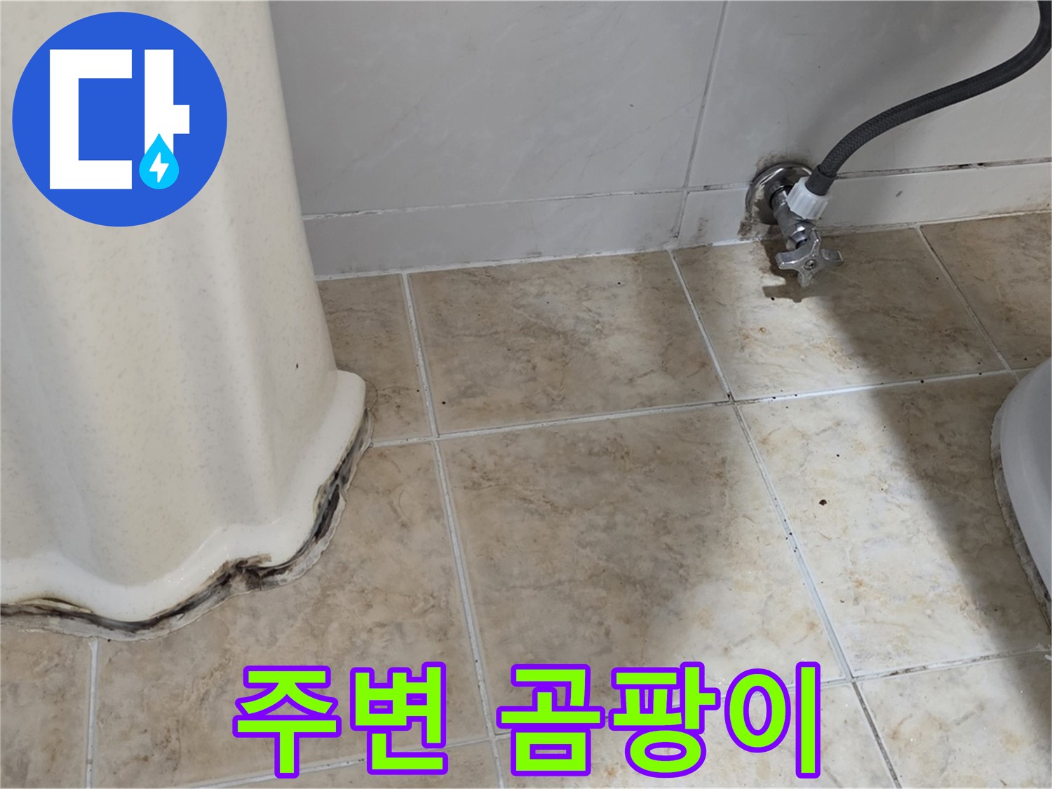 세면대 주변 곰팡이 - 쾌적한 욕실을 위해 없애주세요 - 곰팡이 제거 전문가
