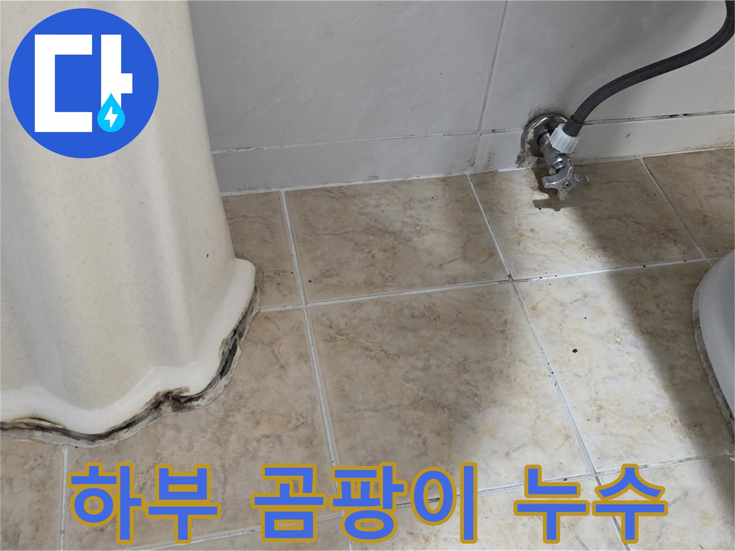 세면대 하부 곰팡이 - 세면대 하부에 곰팡이가 심하게 핀 모습입니다 - 건강에 적신호가 켜졌습니다.