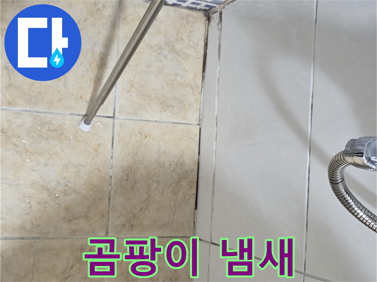 욕실 곰팡이 냄새 - 곰팡이 제거 후 - 냄새 지속 - 누수 의심