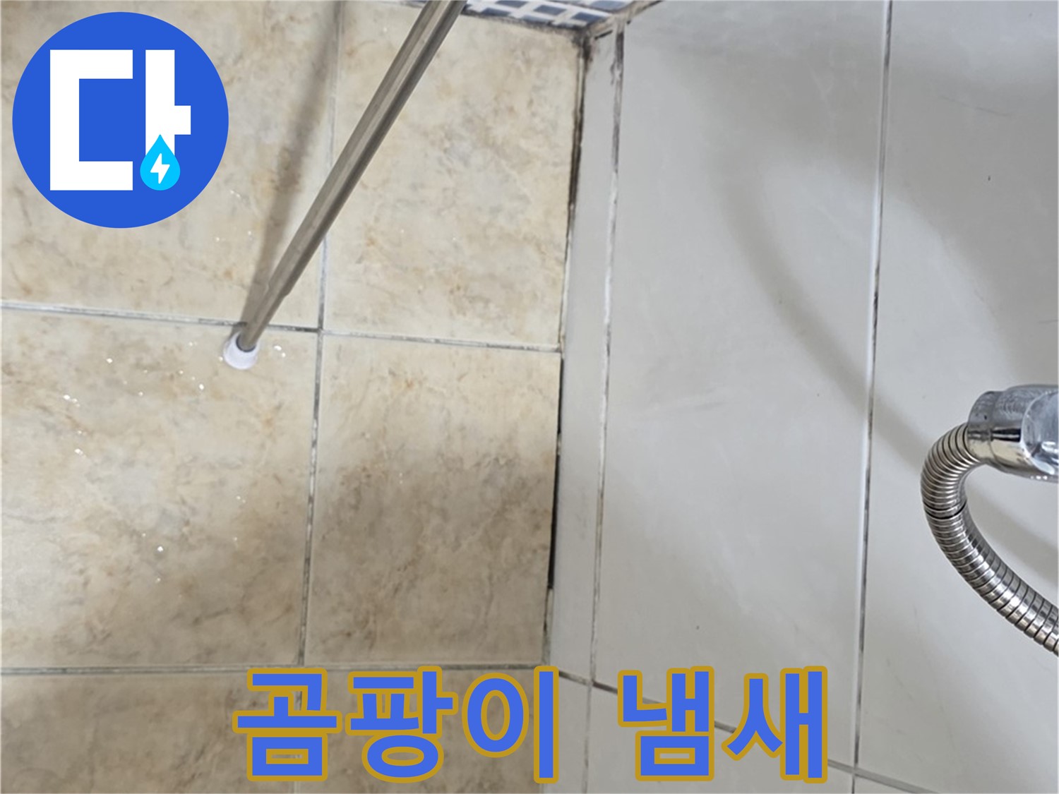 욕실 곰팡이 냄새 - 냄새 심함 - 누수 가능성