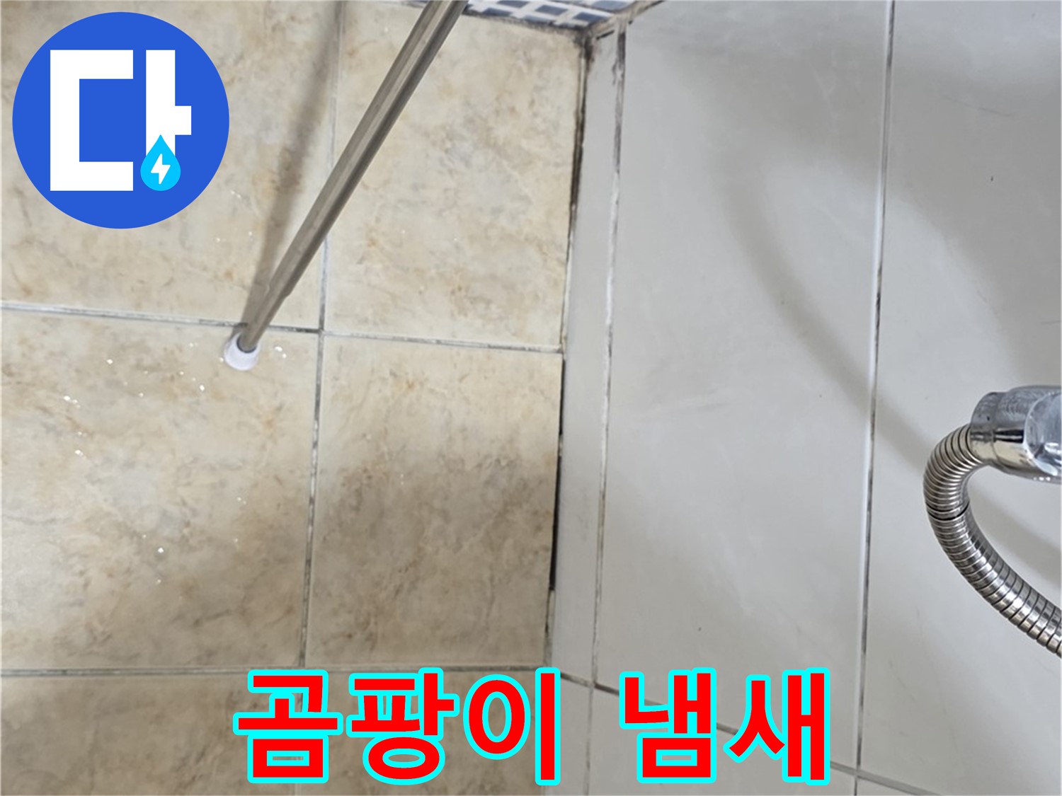 욕실 곰팡이 냄새 - 스프레이 무용 - 누수 해결
