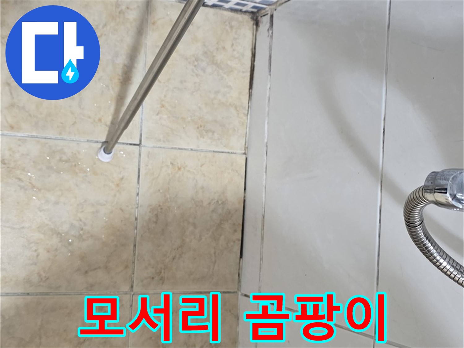 욕실 모서리 곰팡이 - 곰팡이 확산 - 누수 의심