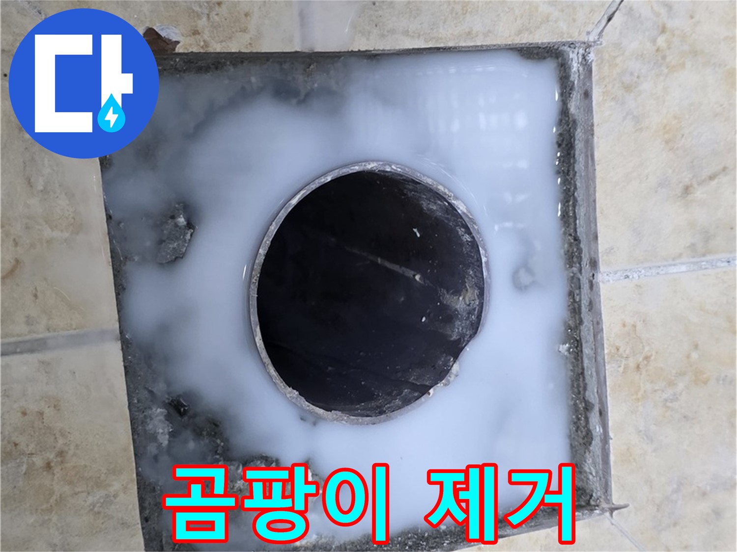 욕실 배수구 주변 곰팡이 완벽 제거 - 묵동 누수, 깨끗하고 건강하게!