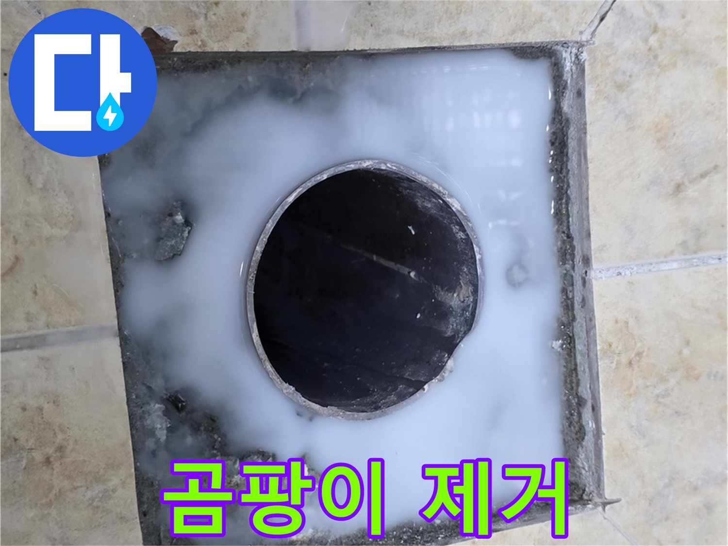 욕실 배수구 주변 곰팡이 완벽 제거 - 묵동 누수, 깨끗하고 건강하게!
