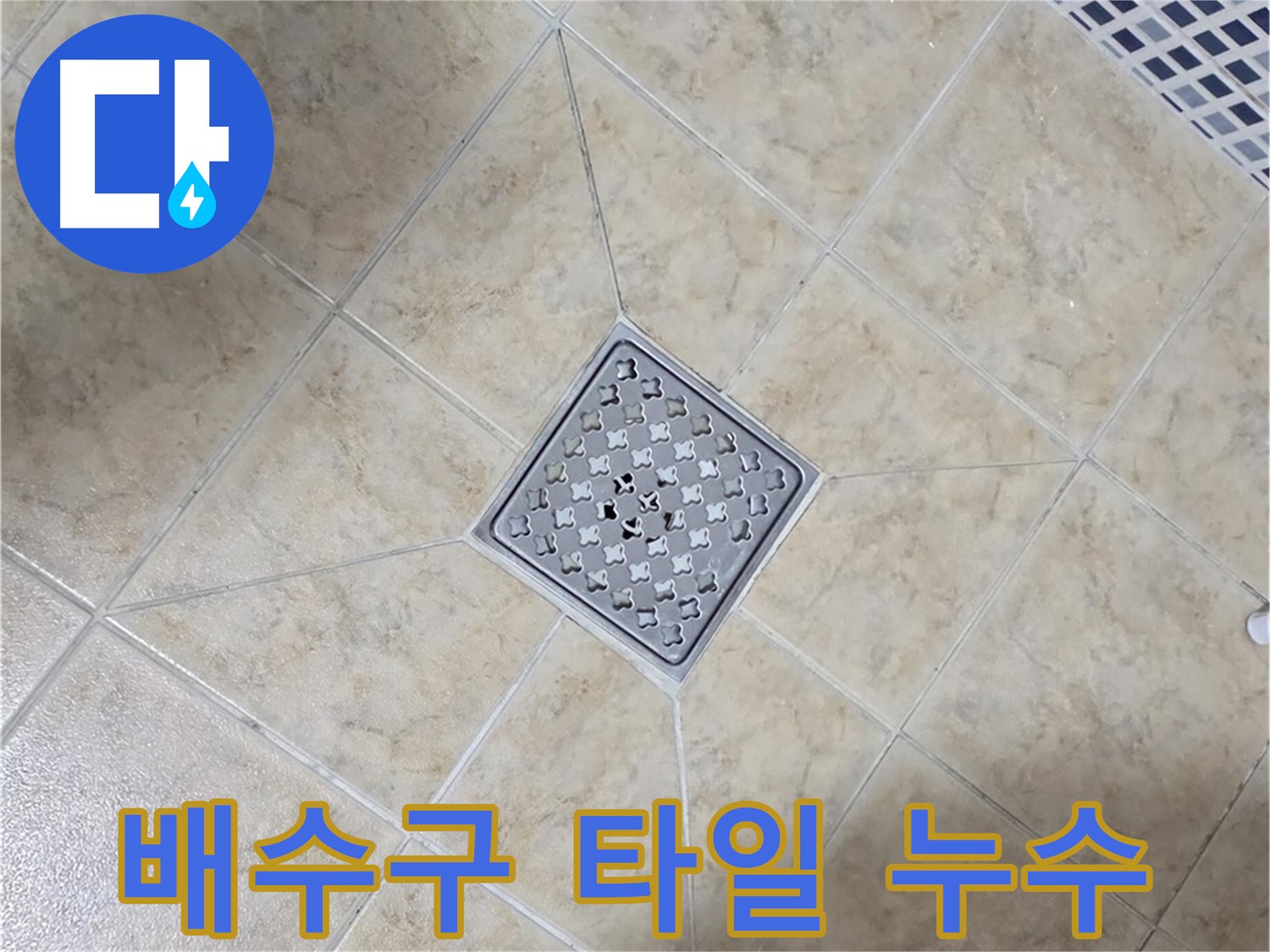 욕실 배수구 주변 타일 들뜸 누수 - 정밀 탐지