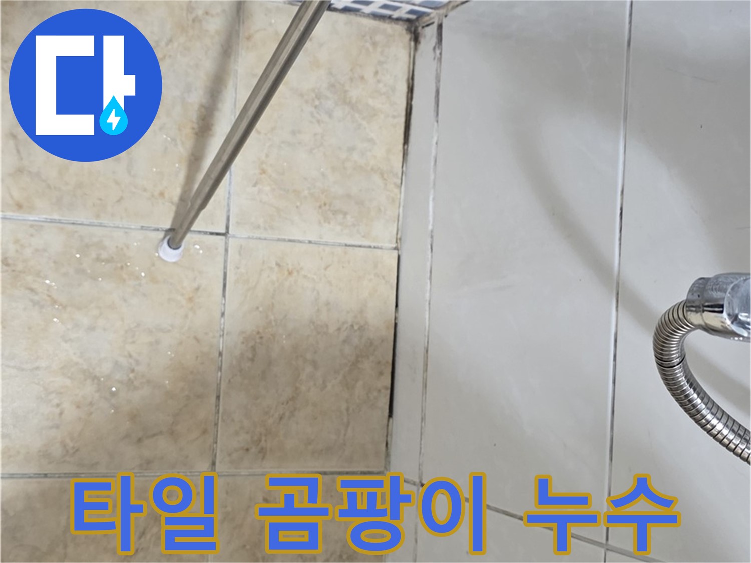 타일 사이 검은 곰팡이 - 곰팡이 재발 - 누수 의심