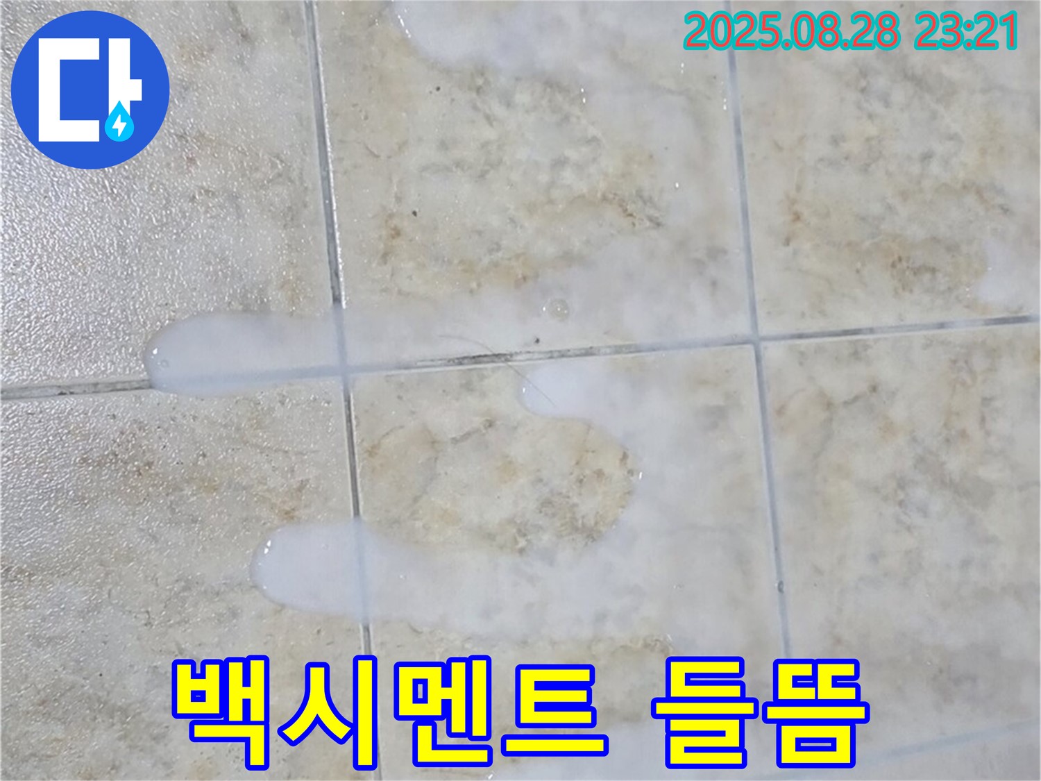 타일 틈새 백시멘트 들뜸 - 중랑구 묵동 아파트에서 발생한 백시멘트 들뜸 현상 - 아랫집 누수의 직접적인 원인이 될 수 있습니다.