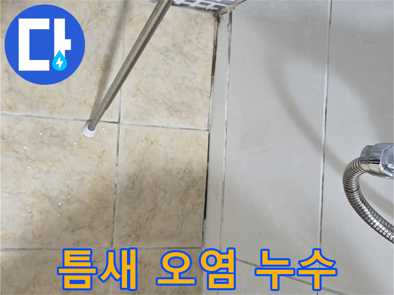 타일 틈새 오염 - 곰팡이 - 누수 의심 - 꼼꼼 점검