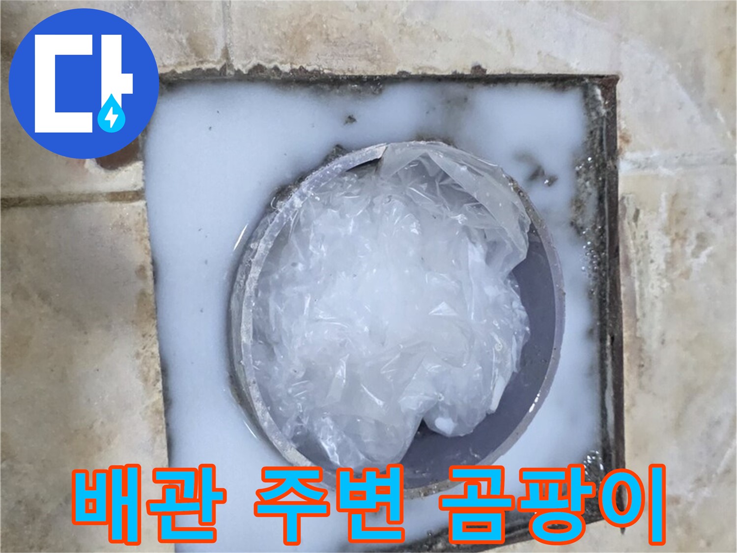 하수구 배관 - 주변 곰팡이 제거 및 방지