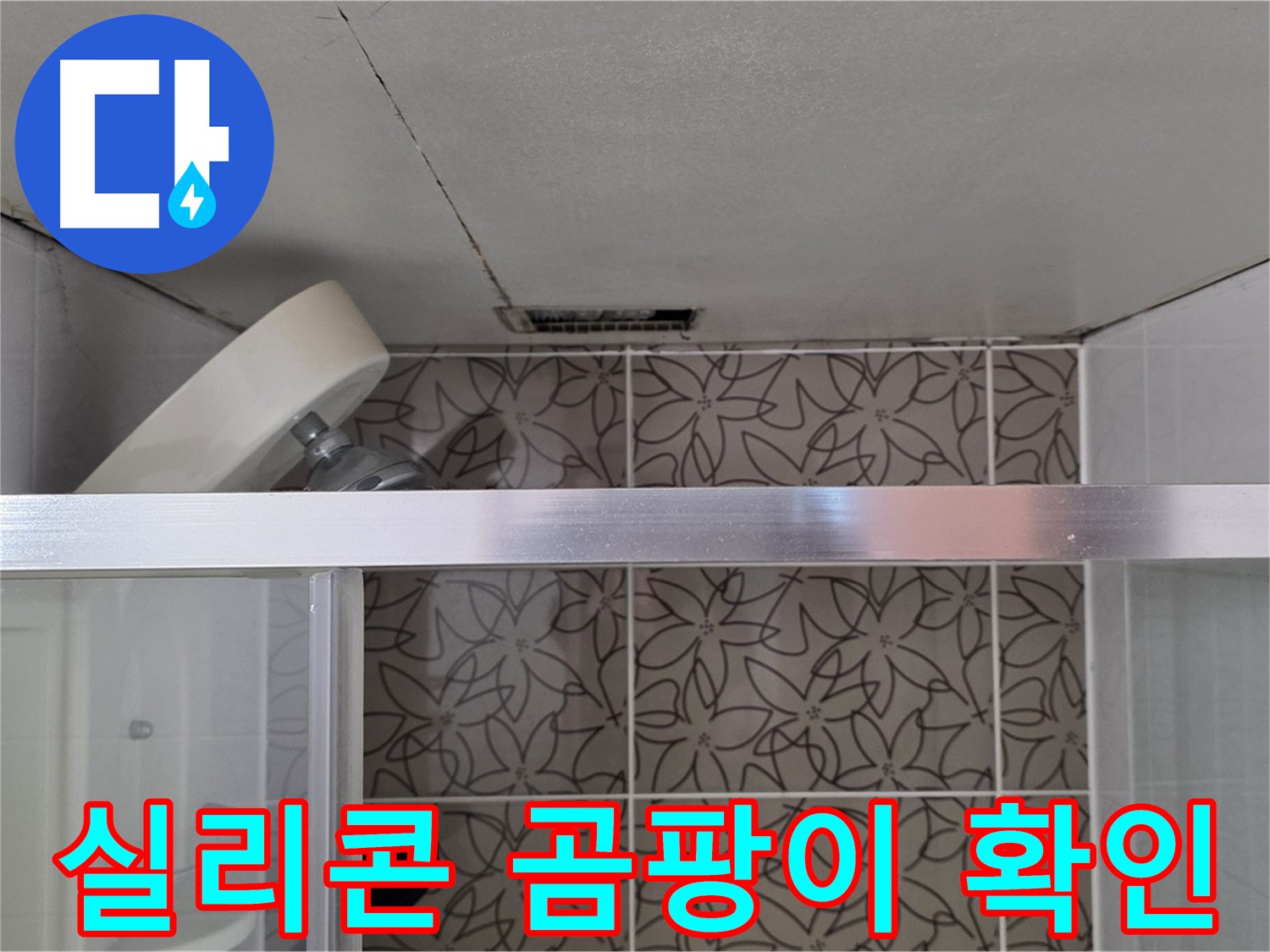 양주 백석 서광아침의빛아파트 샤워부스 실리콘 곰팡이 - 누수 흔적 확인