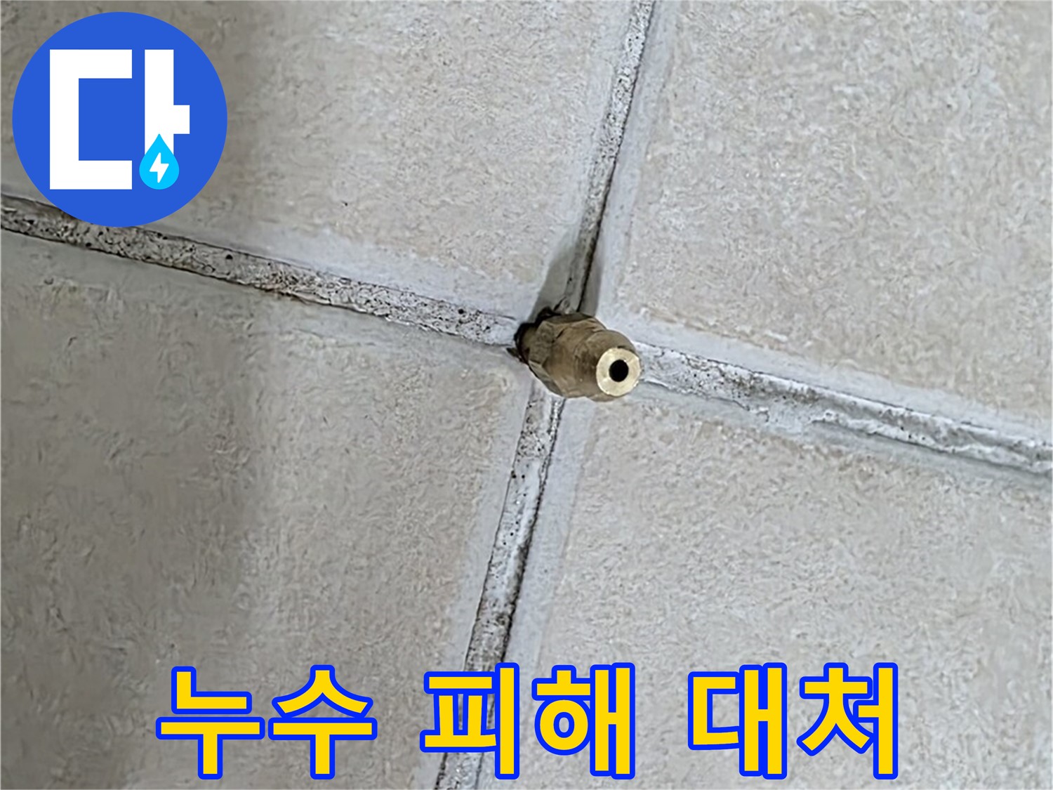 양주 백석 서광아파트 - 누수 피해 발생 시 신속하게 대처하여 피해를 최소화하세요.