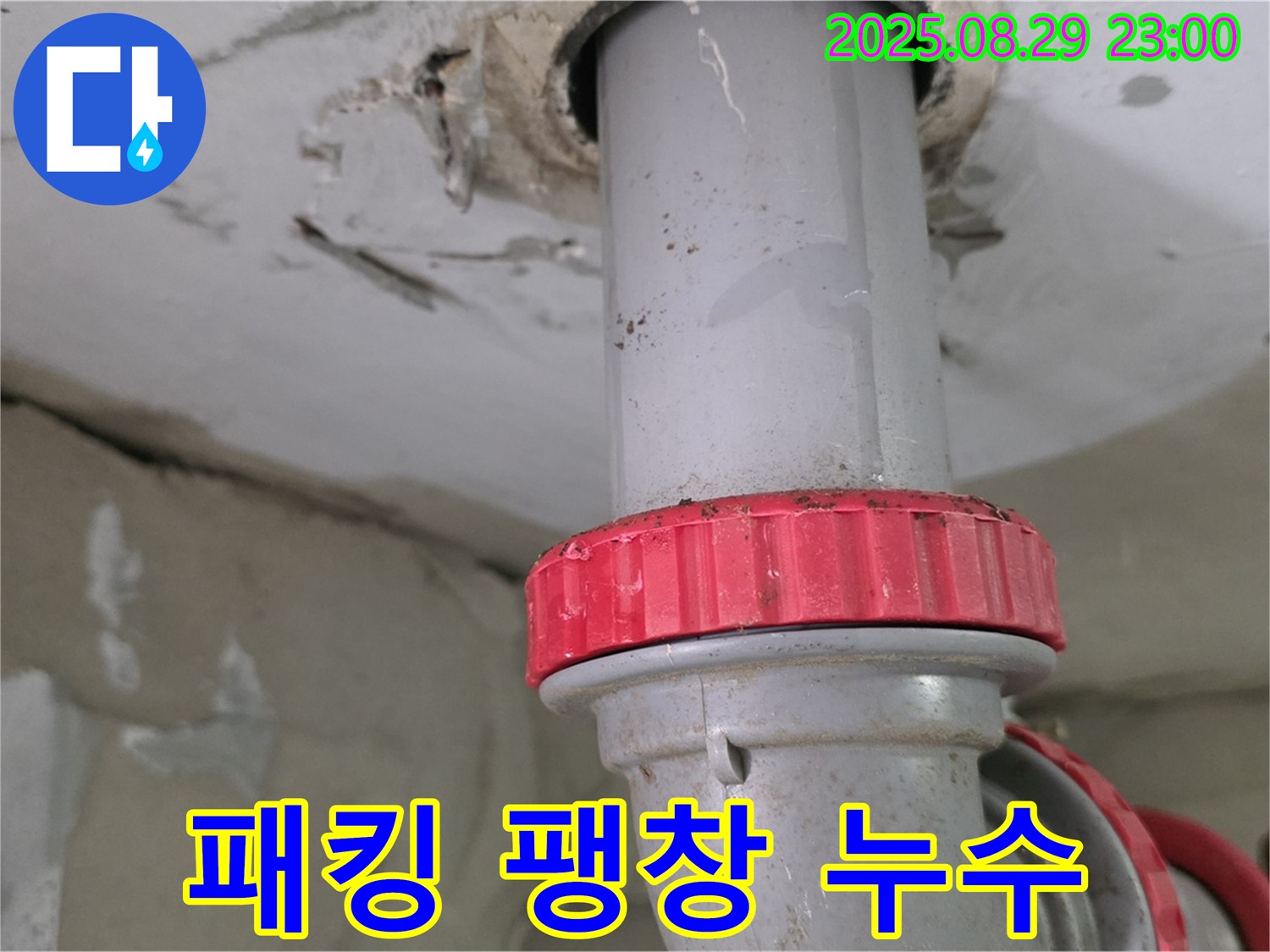 양주 백석 서광아파트 누수 - 하수 배관의 연결 부위 고무 패킹 팽창으로 인한 누수
