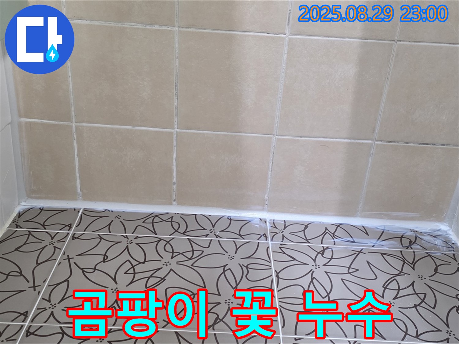 양주 백석 서광아파트 욕실 - 천장에 곰팡이가 심하게 핀 사진입니다.