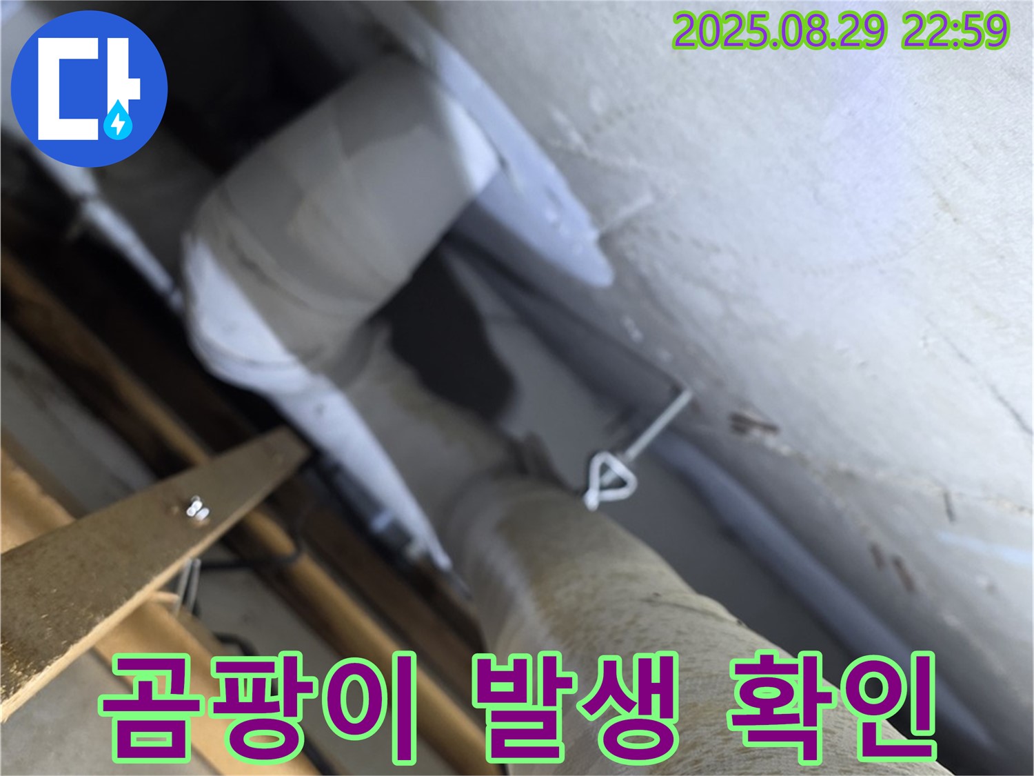 양주 서광아침의빛아파트 천장 배관 주변 곰팡이 발생 - 누수와 관련이 있을 수 있습니다.