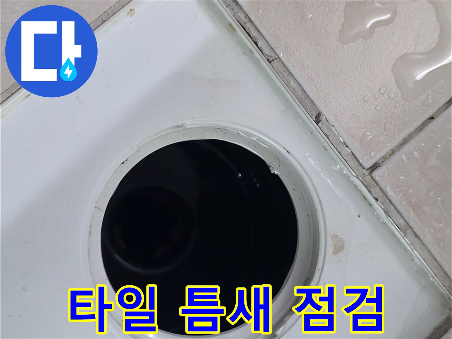 양주시 백석읍 서광아파트 욕실 누수 - 배수구 주변 타일 틈새를 꼼꼼히 점검하는 모습입니다.