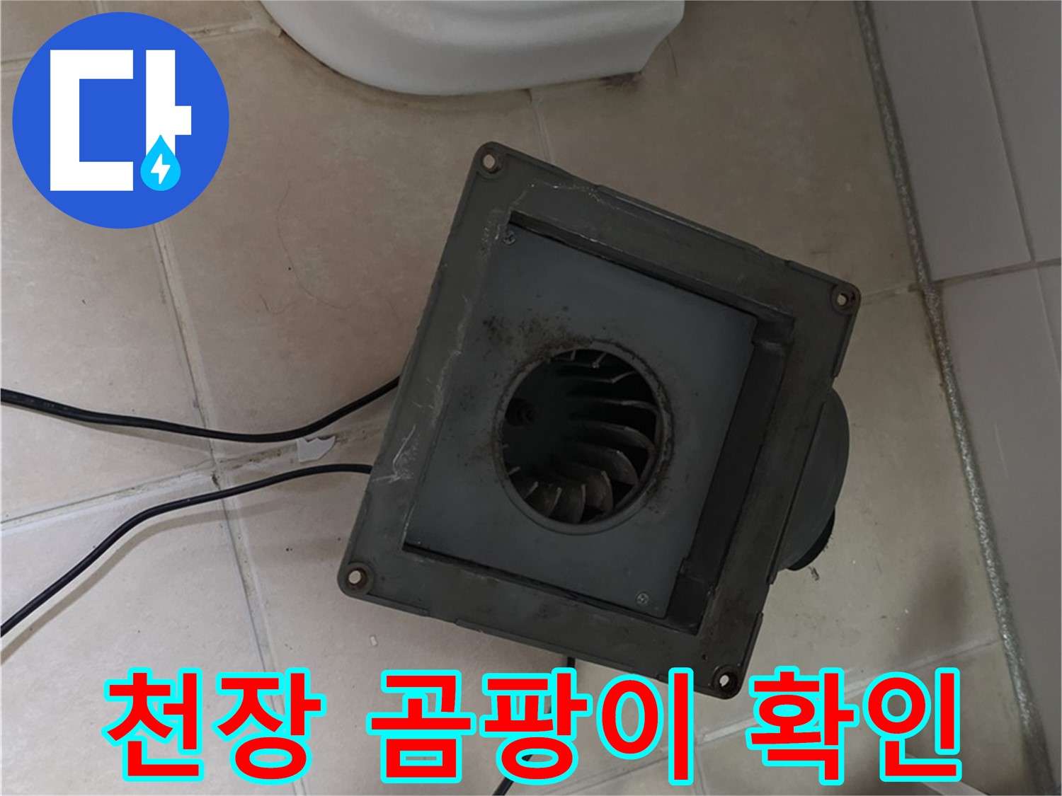 양주시 서광아파트 천장 누수 흔적 - 곰팡이, 물 얼룩 심각