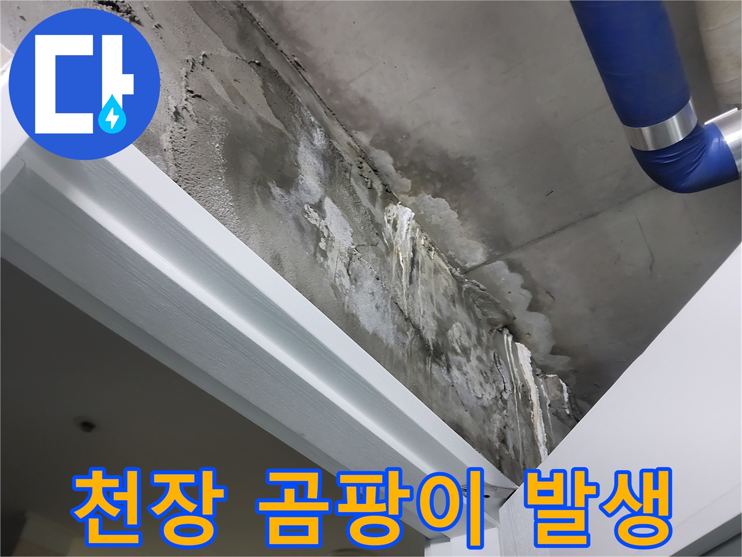 문 위 천장 - 곰팡이 발생 - 누수로 인해 천장에 곰팡이가 발생한 모습을 보여주는 사진입니다.