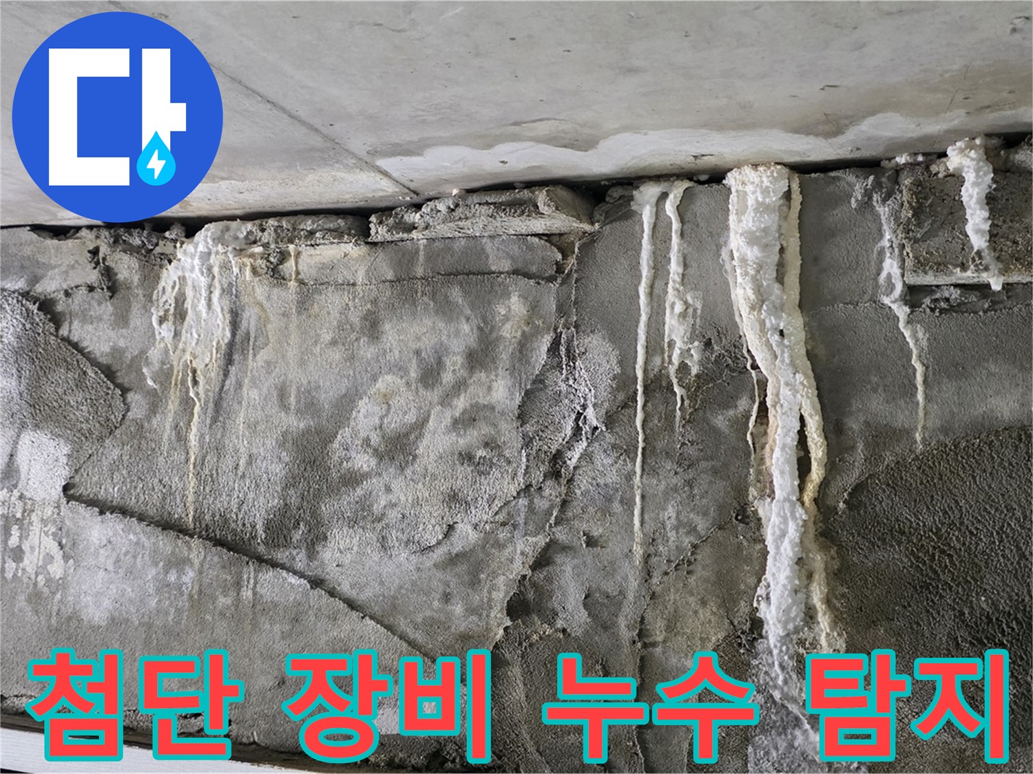 분당 누수 탐지 - 첨단 장비로 숨은 누수 해결