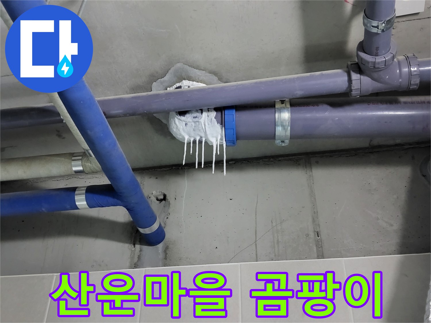 분당 산운마을 하수 누수 - 곰팡이 냄새와 습기 찬 벽지