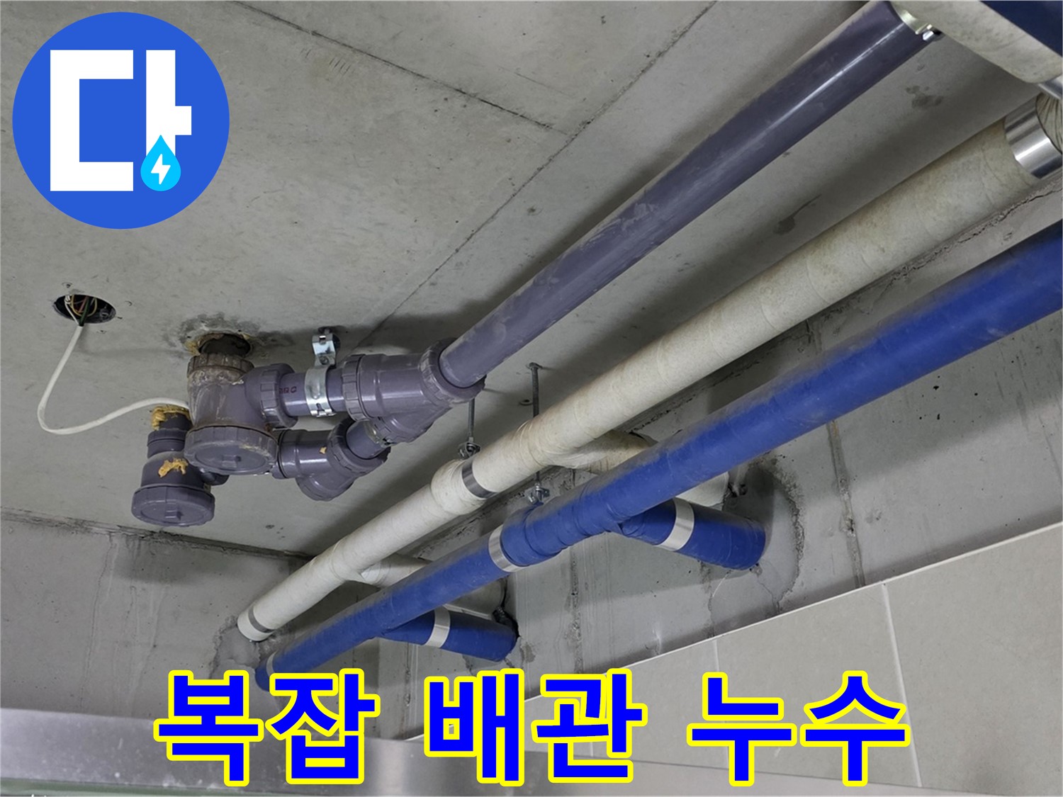 분당 운중동 6단지 상가 복잡 배관 누수 - 정확한 위치 파악 및 보수