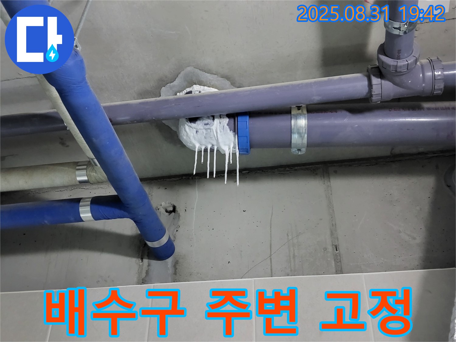분당 운중동 산운로 주택 욕실 누수 - 배수구 주변 임시 고정 작업 진행 중
