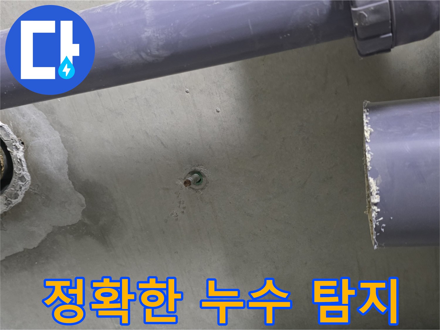 분당 운중동 산운마을 6단지 아파트 누수 현장에서 정확한 누수 탐지를 위해 노력하는 모습 - 정확한 탐지가 빠른 해결의 지름길입니다.