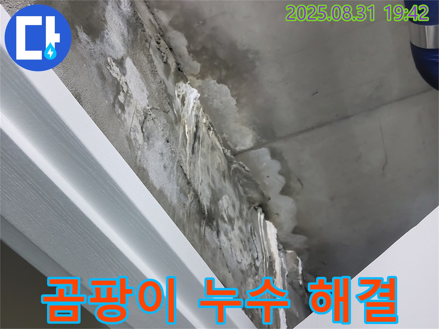 분당 운중동 산운마을 곰팡이 누수 - 곰팡이 제거와 누수 해결 한번에!