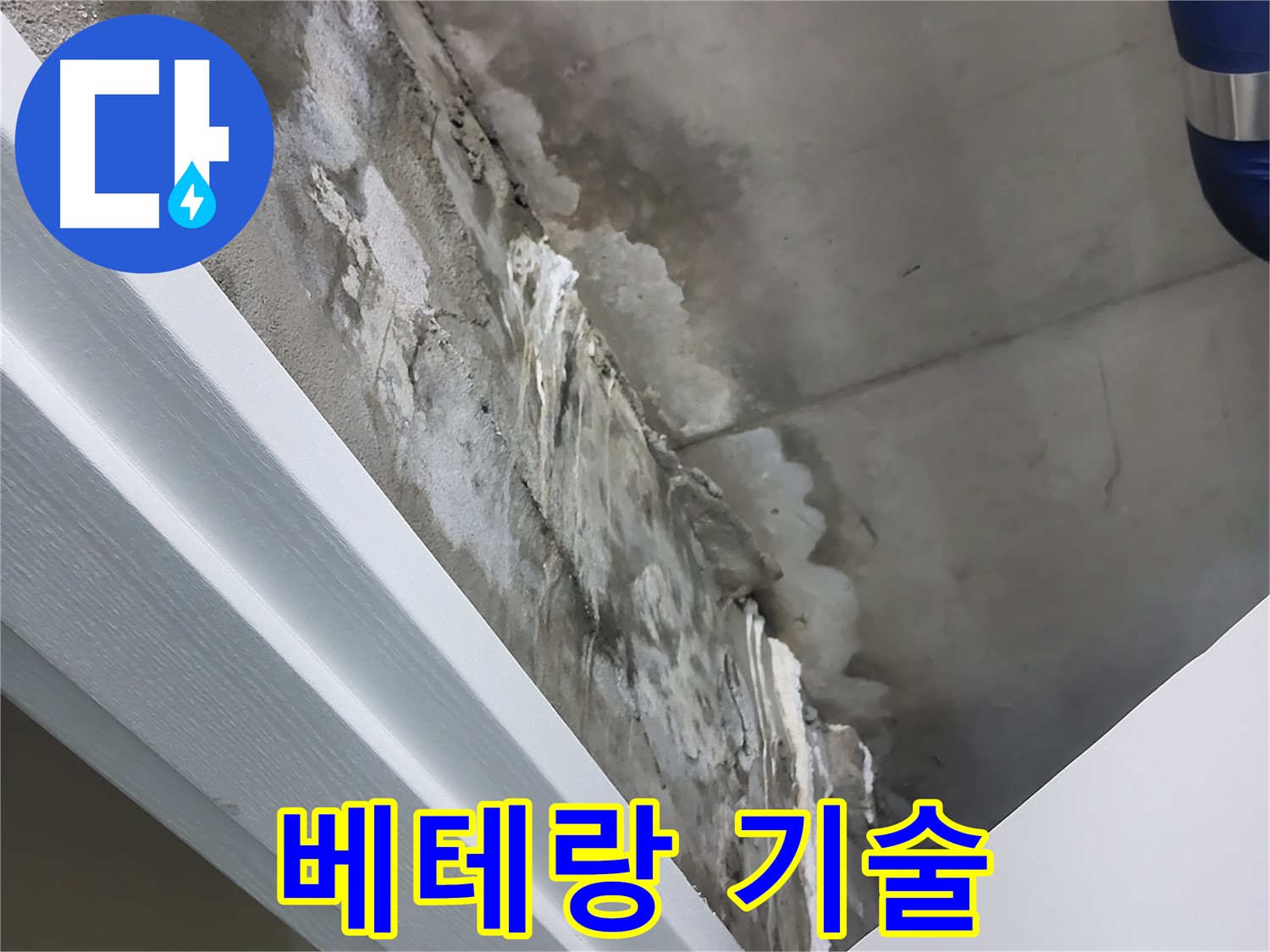 분당 운중동 산운마을 누수 - 베테랑 기술자의 꼼꼼한 시공